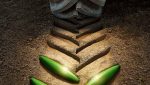 11 - bridgestone_vx-_tractor