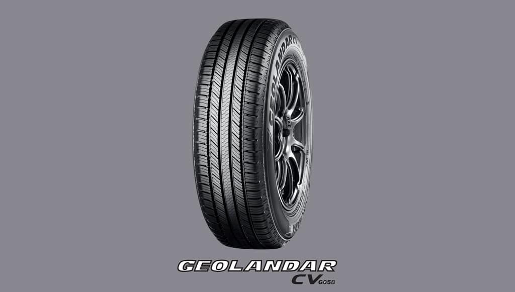 03 - GEOLANDAR-CV-G058