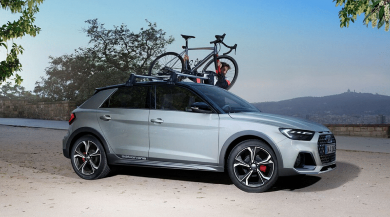 04 - falkenaudi