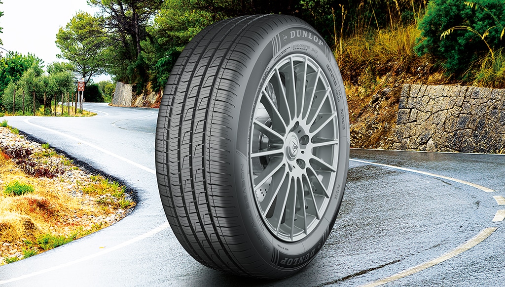 10 - Dunlop-alarga