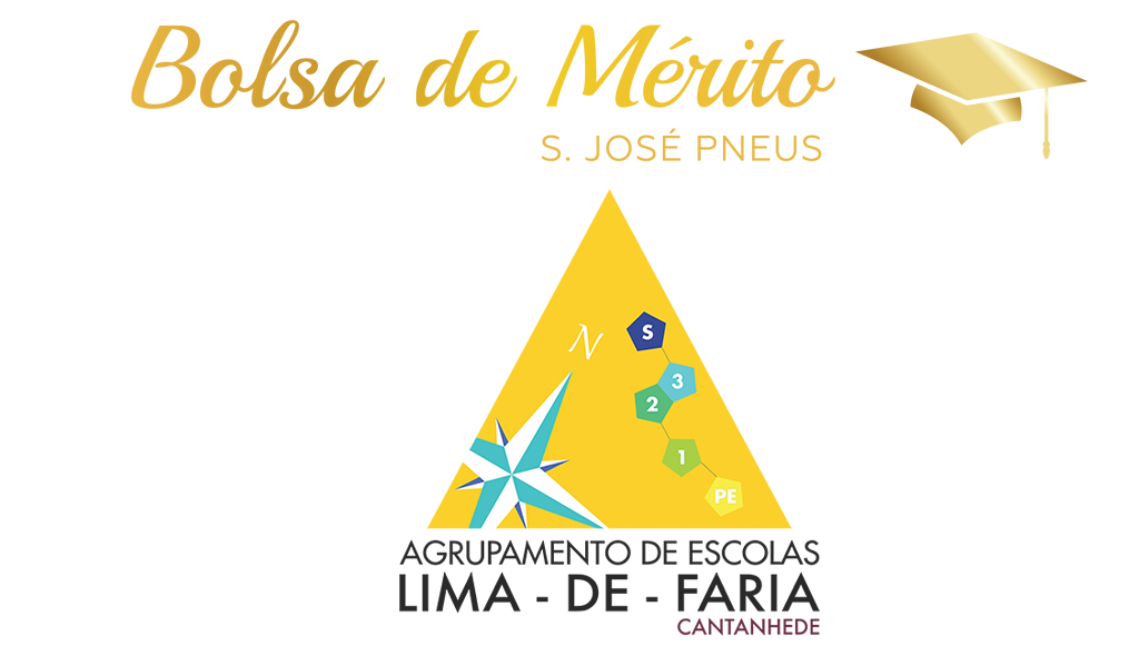 05 - S.-Jose-Pneus-premeia