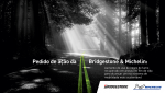 09 - Michelin-e-Bridgestone-juntas