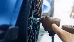 12 - Guia-Falken-disponivel-em-varios-idiomas